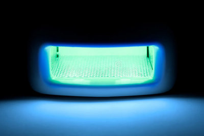 紫外灯下的生命赞歌 皇家凤凰木照片的艺术与科学探索